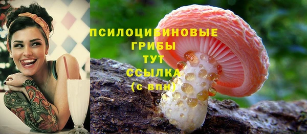 PSILOCYBIN Бугульма